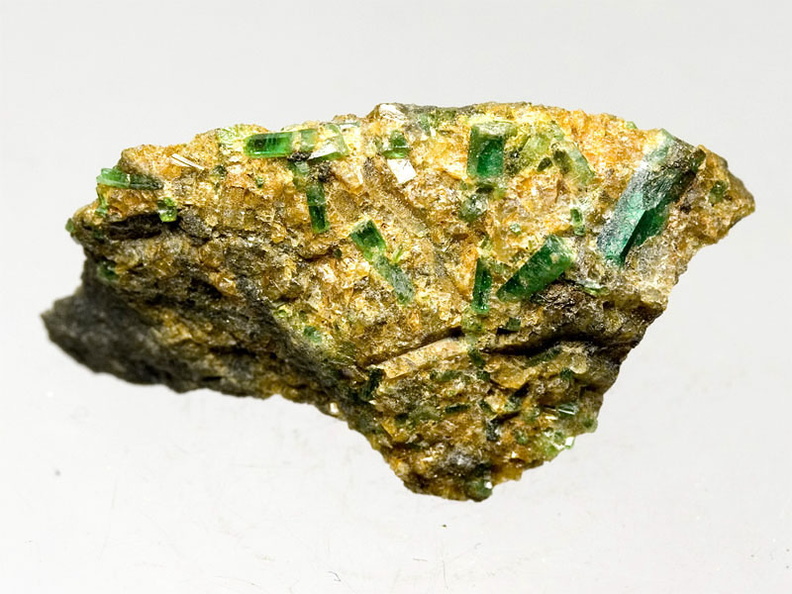 0211_1_Beryl.jpg